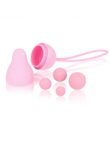 Intimichic Pelvis Health I 2.0 Rehabilitacion Pelvica