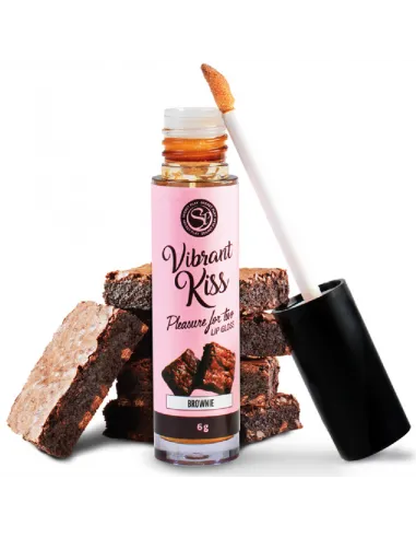Lip Gloss Vibrant Kiss