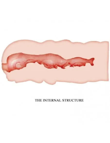 Crazy Bull - Isabel Masturbador Vagina 13.5 Cm