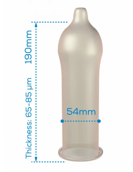 Pasante Condom Gama Regular 144 Unidades