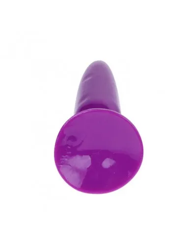 Plug Anal Pequeño Lila 15Cm