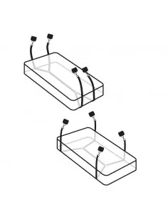 FETISH FANTASY FETISH FANTASY EDICION LIMITADA RIENDAS DEL AMOR 2