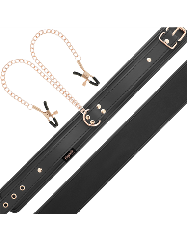 COQUETTE FANTASY COLLAR CON PINZAS PEZONES