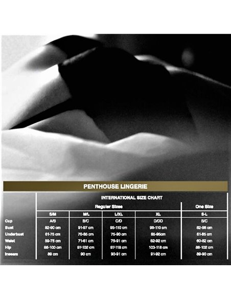 PENTHOUSE TOO HOT TO BE REAL TANGA NEGRO L/XL