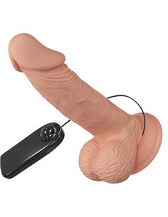 BEAUTIFUL ENCOUNTER ZEBULON VIBRACION 19.4 CM - NATURAL