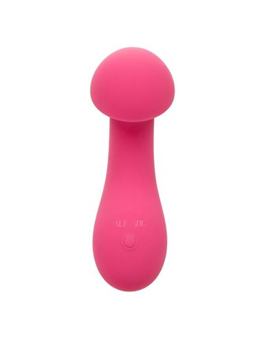 CALIFORNIA EXOTICS PIXIES EXCITER ROSA